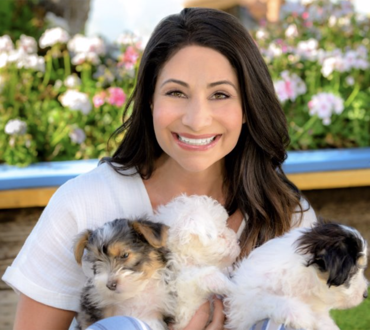 Hallmark Channel News: It’s Raining Cute Cats and Dogs In February 2020