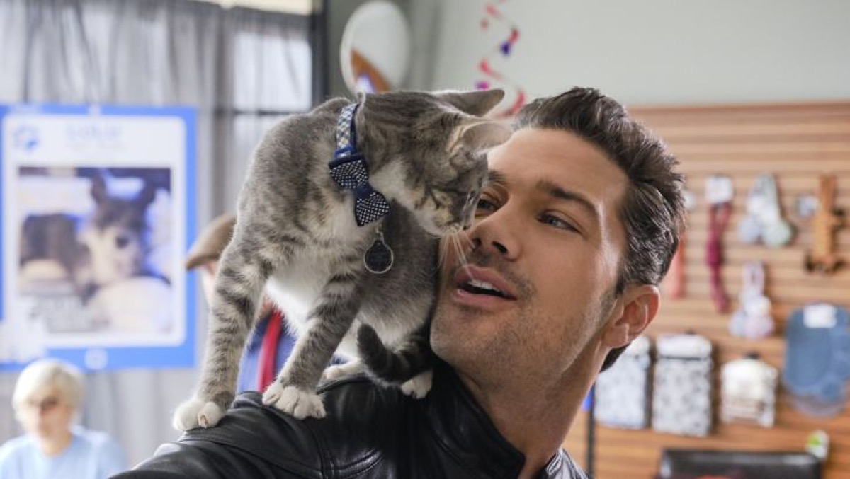 Hallmark Channel News: Celebrate Valentine’s Day Movies On The 2020 Love Ever After Movie Schedule