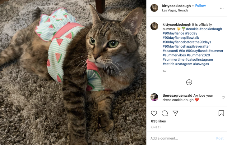 TLC '90 Day Fiancé-Happily Ever After?' Spoilers: Yes, It’s True - Colt’s Tabby Cat DOES Have Her Own Instagram Account!