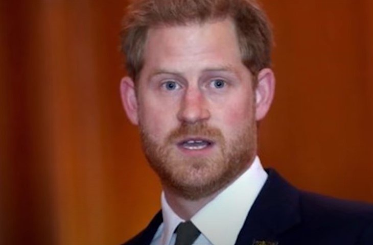  Prince Harry 