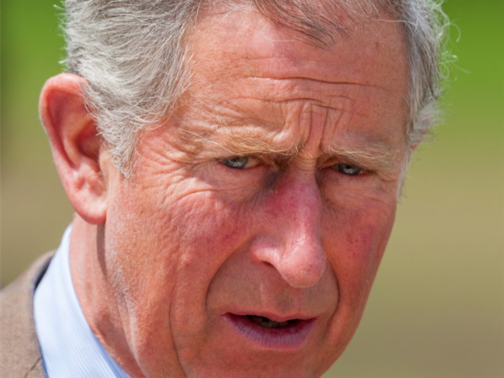 Royal Family News: Charles 