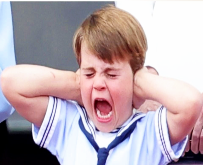 Royal Insider Reveals What Really Caused Prince Louis' Platinum Pageant Behavior