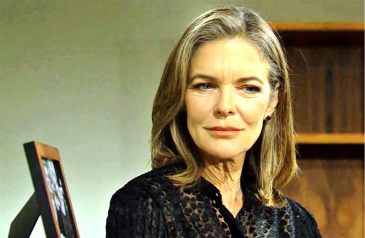 The Young And The Restless: Diane Jenkins (Susan Walters) 