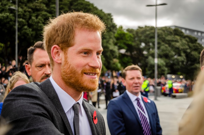 Royal Family News: Prince Harry’s Unleashes Rottweiler Memoir On Stepmonster Camilla?