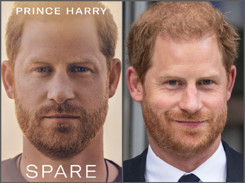 British Royal News: Prince Harry Releases Book Cover For His Upcoming Memoir, Spare