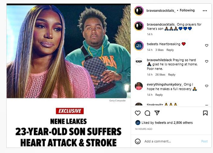RHOA Fans Stunned To hear About NeNe Leakes Son Ill Health
