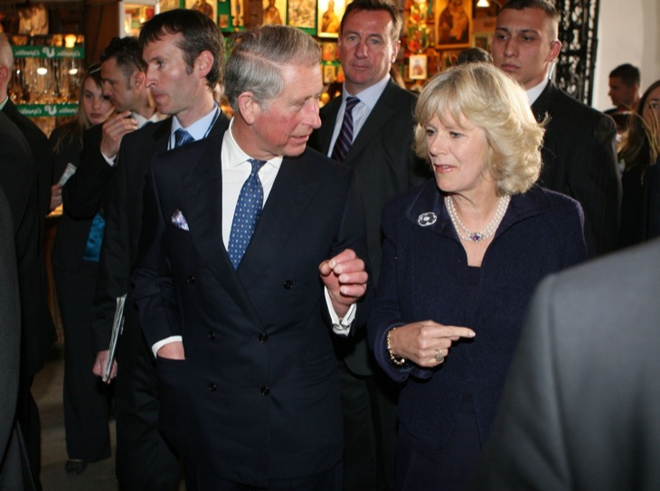 King Charles Was Not Pleased With Princess Anne And Prince Edward Following Their Andrew Meetup