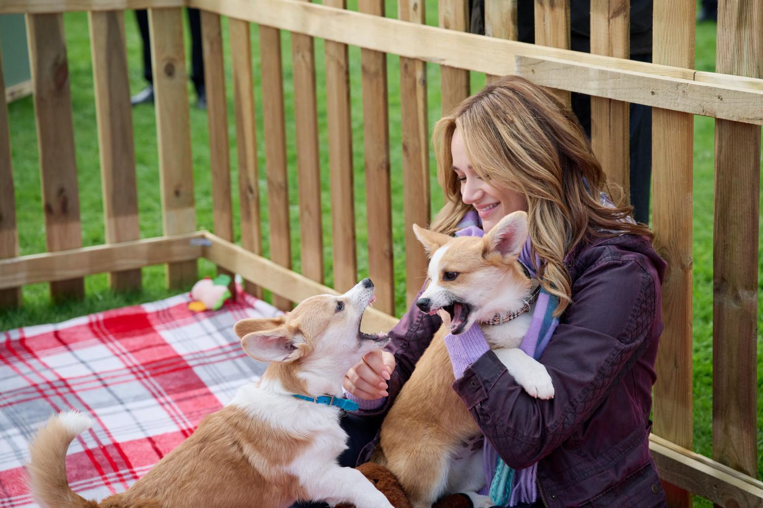 A Royal Corgi Christmas on Hallmark Channel