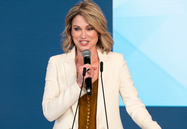 GMA Co-Hosts T.J. Holmes And Amy Robach Allegedly Had Lengthy Affair