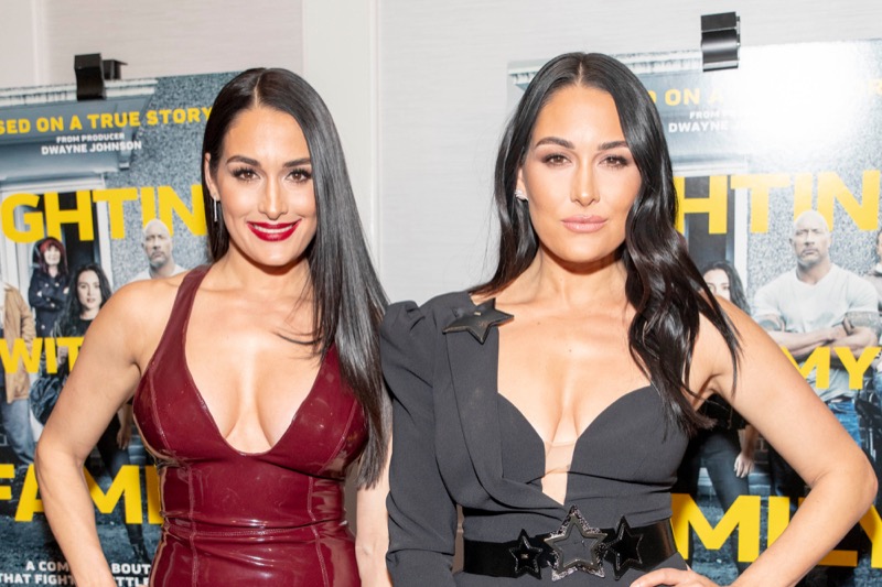 Nikki & Brie Bella Might Still Make Their Return To WWE