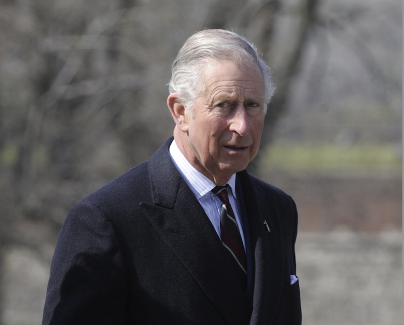 Royal Family News: King Charles Denied Access To Archie And Lili Unless Harry And Meghan Given New Home?
