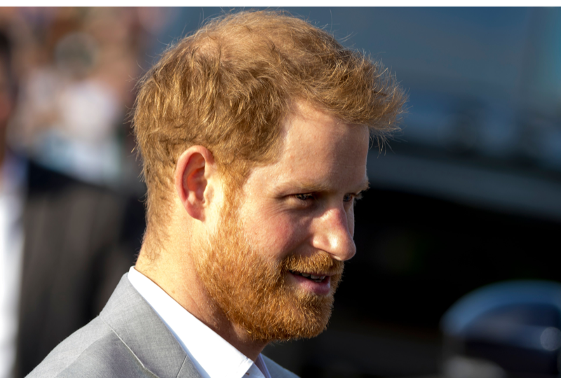Prince Harry Praises Marijuana And Psychedelic Drugs Benefits!