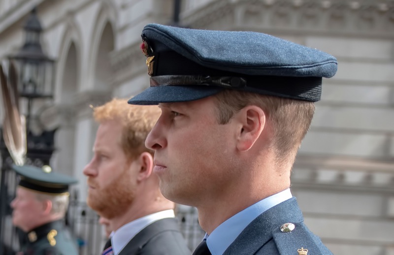 Royal Family News: Prince Harry and William Reunited By Mom Diana Years After Her Death?