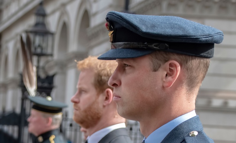 Royal Family News: Prince William And Harry Both Just Got The Shaft From Princess Diana’s Niece