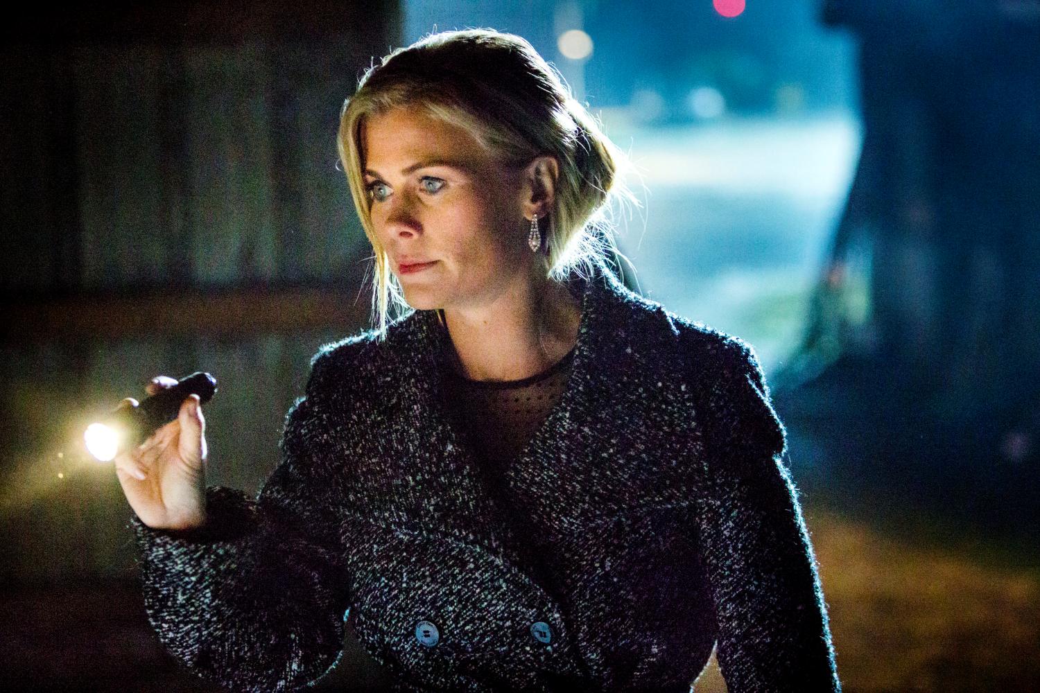 Alison Sweeney and Cameron Mathison to star in Carrot Cake: A Hannah Swensen Mystery on Hallmark Movies & Mysteries.