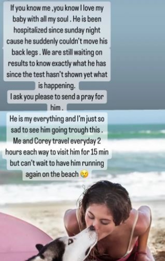 90 Day Fiance Evelin Villegas Gets A Diagnosis For Her Sick Pup