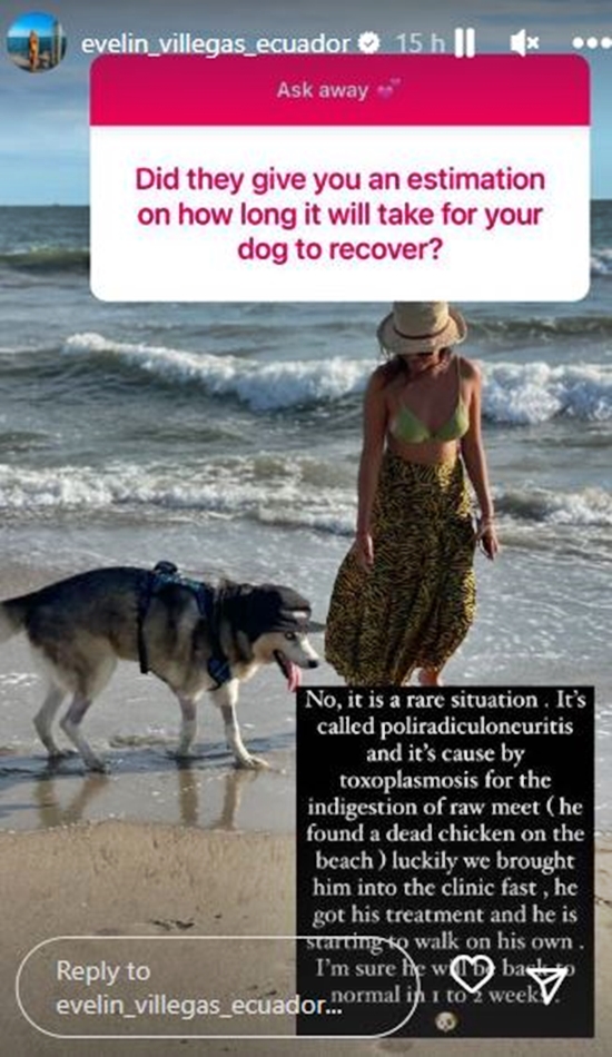 90 Day Fiance How Did Evelin Villegas Dog Get So Sick