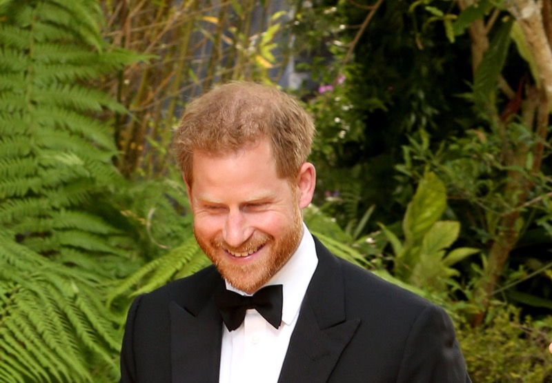 Royal Family News: Prince Harry Expected To Collapse At The Coronation Without Meghan Markle