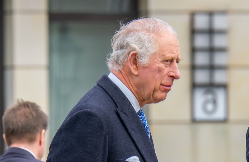 Royal Family News: King Charles In Charge, Harry On A Mission To Destroy Him?