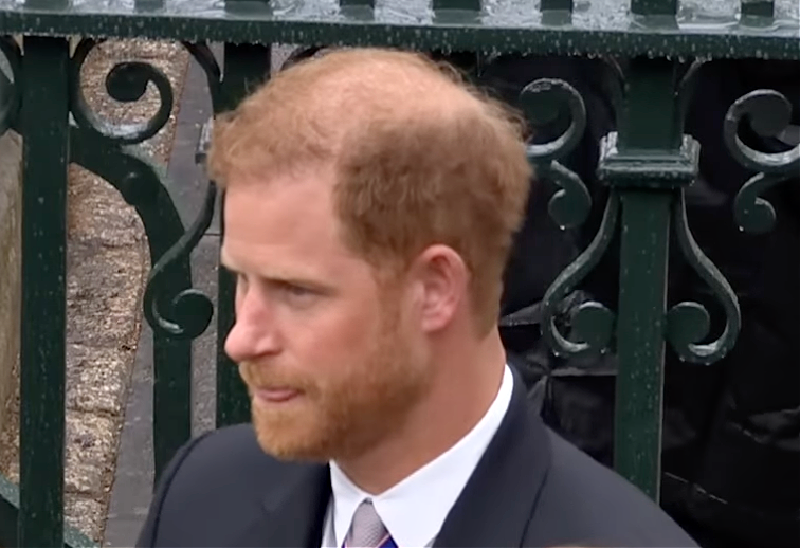Royal Family News: Dior OWNS Prince Harry, Tweets That THEY Not Meghan Dressed Him For Coronation