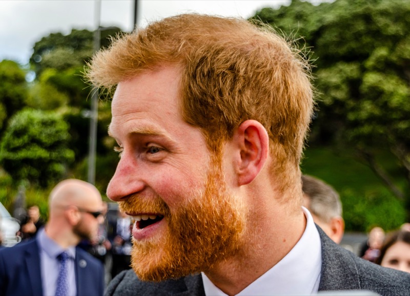 Royal Family News: Prince Harry Was Roasting A Chicken When He Proposed, And 4 Other Amazing Royal Proposals