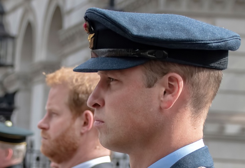 Prince William And Prince Harry’s Feud Set To Continue For Decades To Come