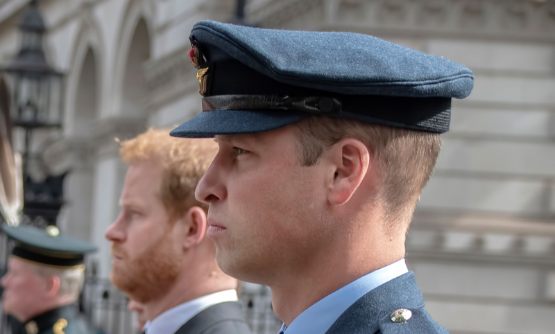 Royal Family News: Here’s Where Things Stand Between Prince William And Prince Harry