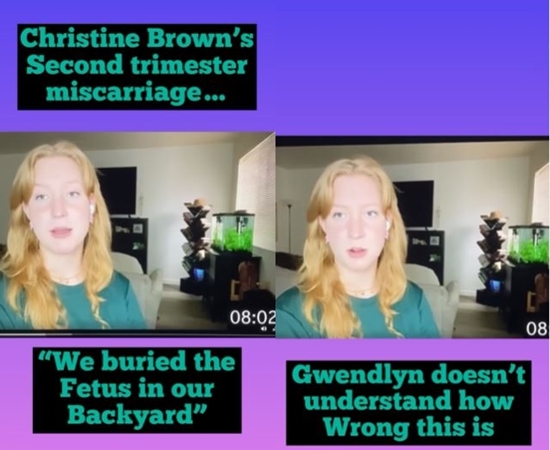 Sister Wives Star Christine Brown Buried WHAT In Her Back Yard