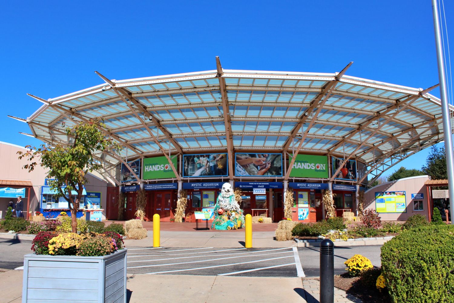 Mystic Aquarium to star in Hallmark Christmas movie