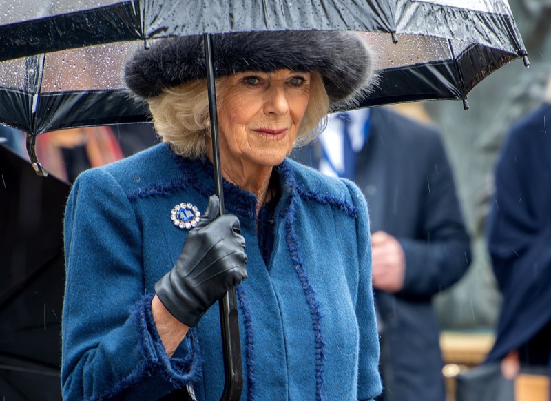 Queen Camilla’s Handshake Goes Viral: Here's Why!