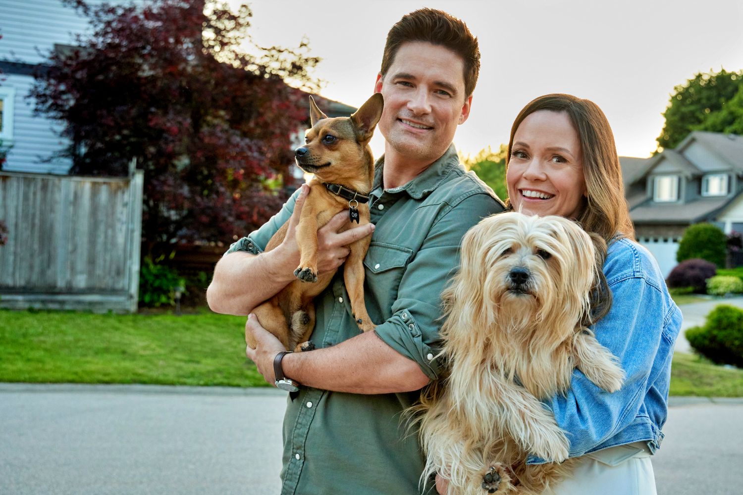 The More Love Grows on Hallmark Movies & Mysteries