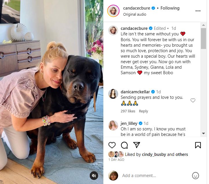 Candace Cameron Bure and Natasha Bure mourn the loss of the family Rottweiler, Boris