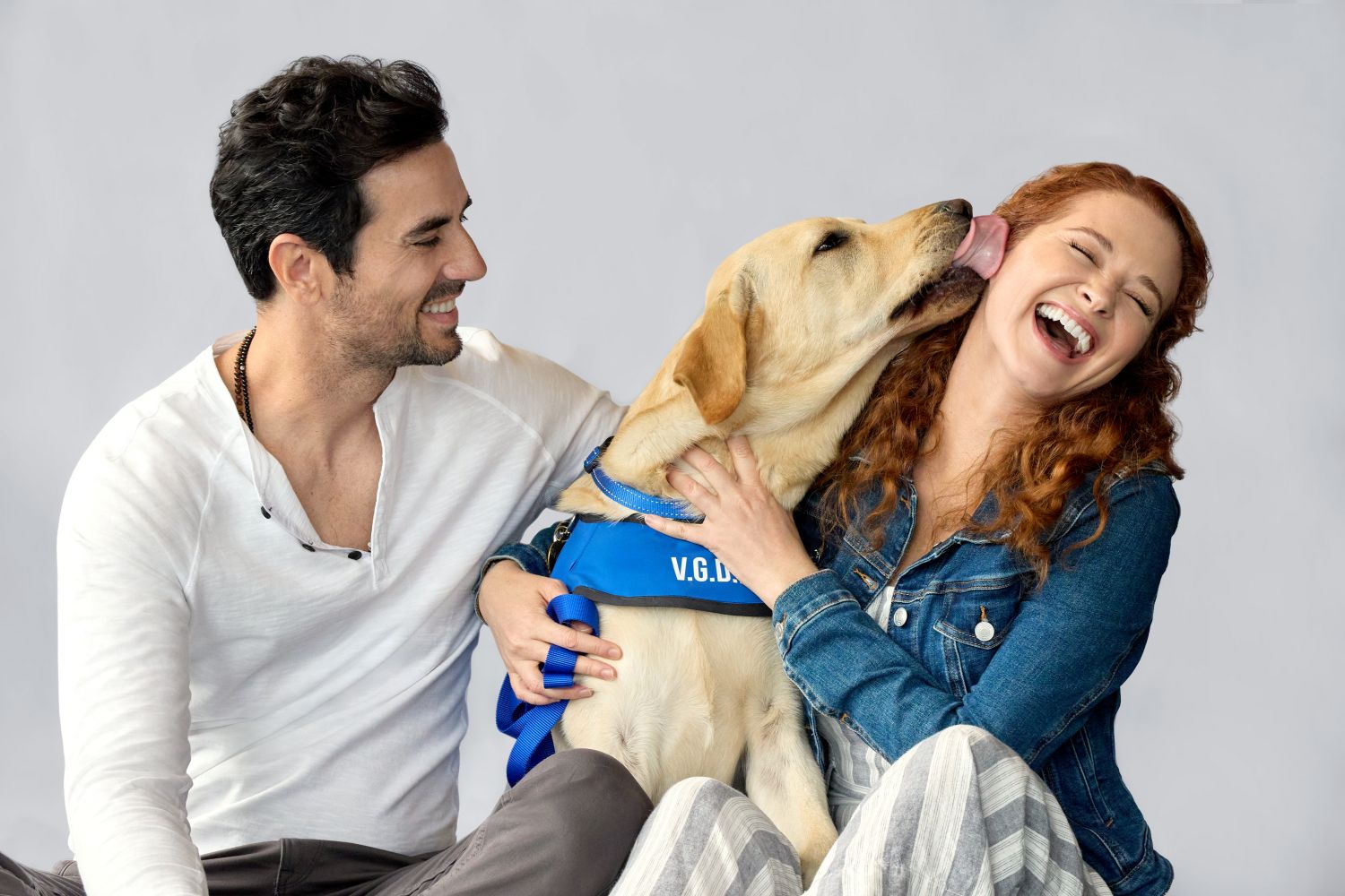 Guiding Emily on Hallmark Movies & Mysteries