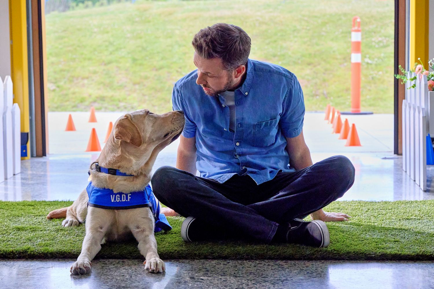Guiding Emily on Hallmark Movies & Mysteries