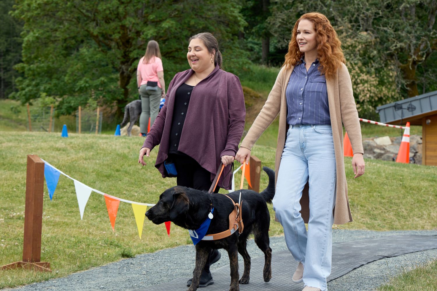 Guiding Emily on Hallmark Movies & Mysteries
