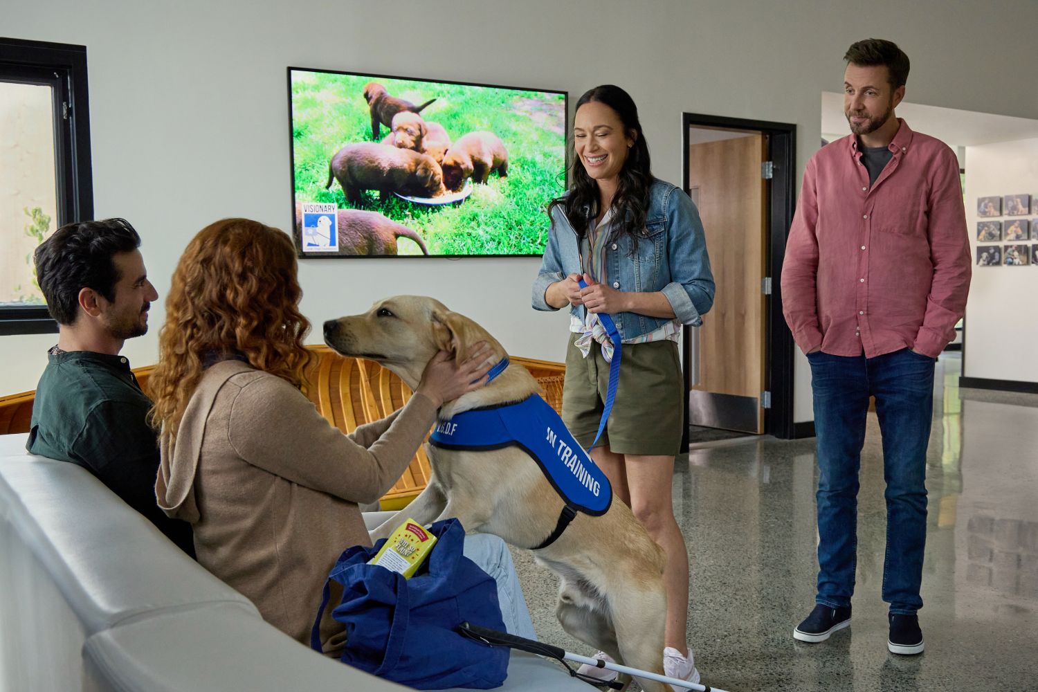 Guiding Emily on Hallmark Movies & Mysteries