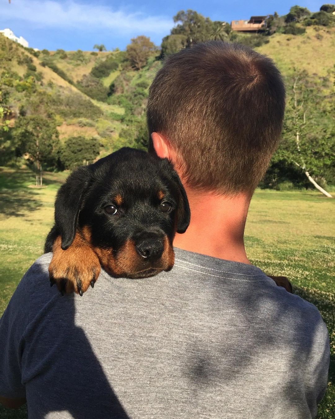 Candace Cameron Bure and Natasha Bure mourn the loss of the family Rottweiler, Boris