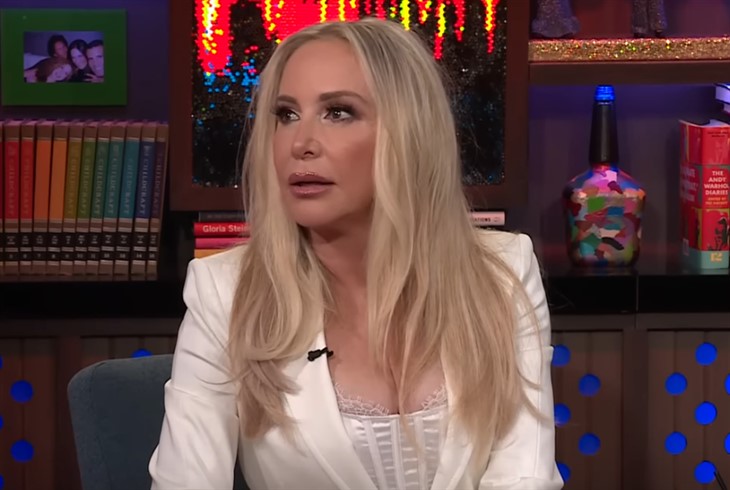 Video Footage Emerges Of Shannon Beador Hit-And-Run