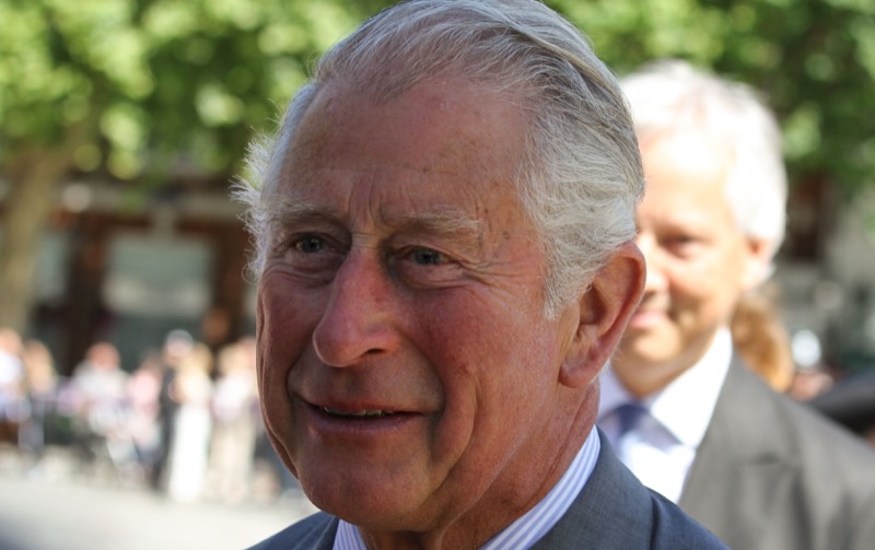 King Charles Misses Prince Harry: Who Should Extend Olive Branch?