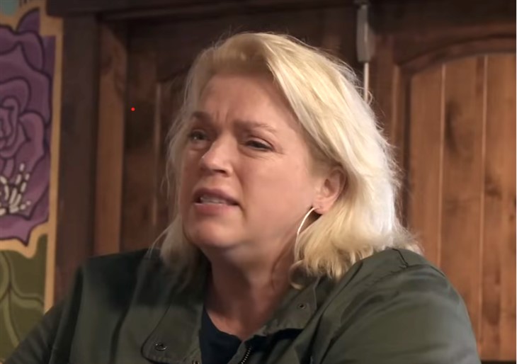 Sister Wives: Janelle Brown Drops Meri And Robyn Bomb