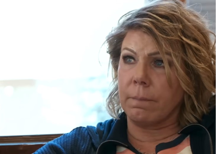 Sister Wives: Meri Brown Robbed In Broad Daylight