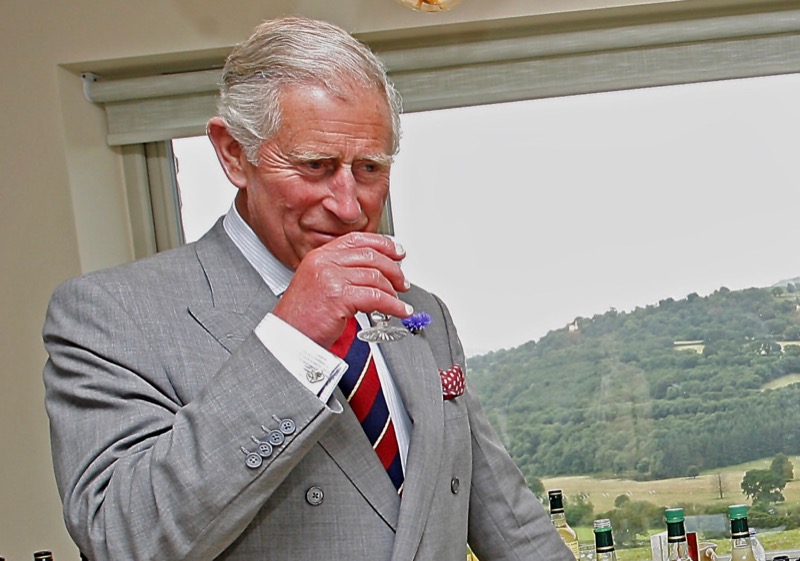 King Charles Thinks His Son Prince Harry Is A Fool