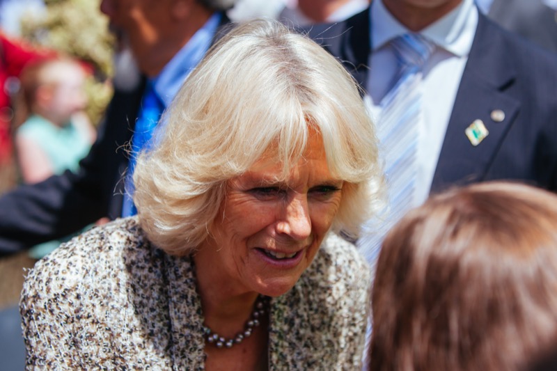 Queen Camilla's Friend Blasts Prince William And Kate Middleton For Dressing Like “Dummies”