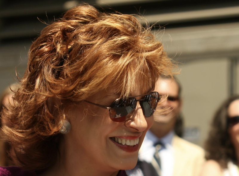 The View Joy Behar Shuts Guest Matt Rogers Up After He Shares An Embarrassing Story
