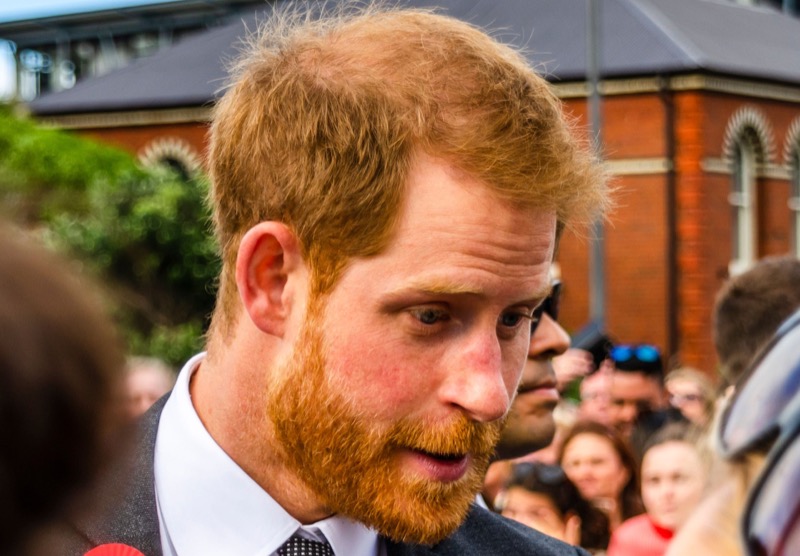 Prince Harry DISSED By Prime Minister Sunak In Viral Social Media Post With Larry The Cat!
