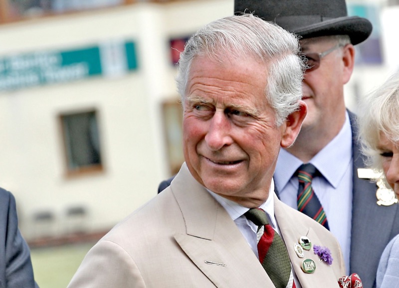 King Charles’ Invite to Sarah Ferguson Means Princes Harry & Andrew Are Next?