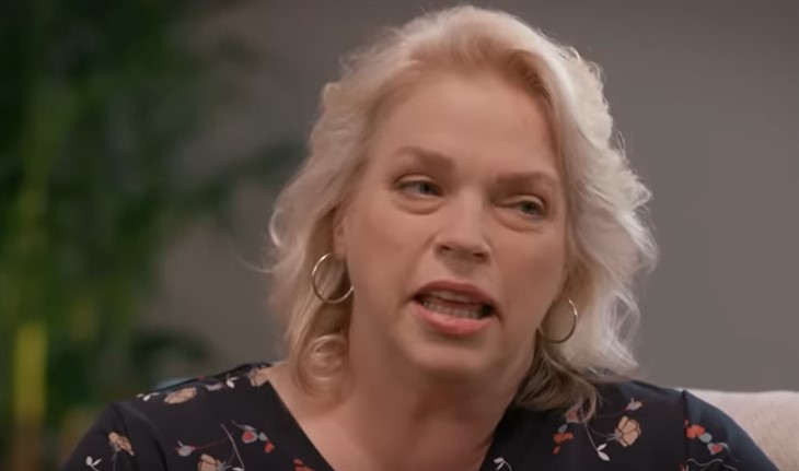 Sister Wives' Janelle Brown Opens Up About the Broken Relationship Kody Brown Has With Their Children