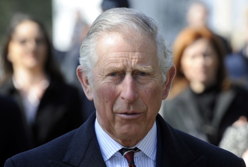 King Charles EXPOSES LIES From Prince Harry And Meghan Markle!