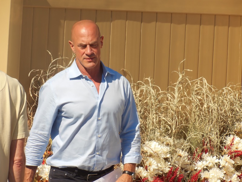 Christopher Meloni Shares His Hopes For Benson and Stabler's Relationship