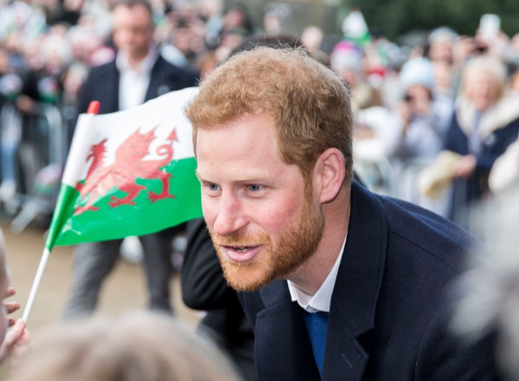 Prince Harry Willing To Return To Royal Family Temporarily, But Royal Experts Don't Think He Should